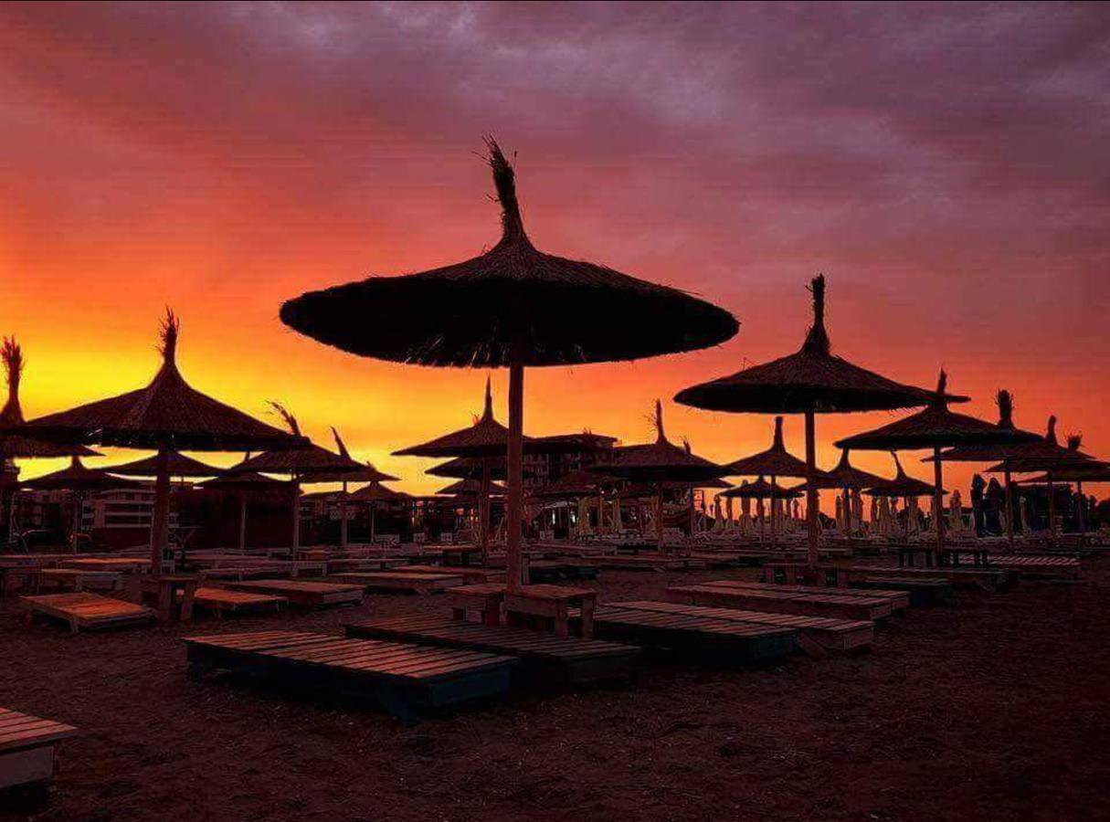 Апартаменти Yvo Lioness & Mamaia Nord Неводарі Екстер'єр фото